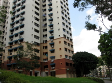 Blk 569 Hougang Street 51 (S)530569 #246262